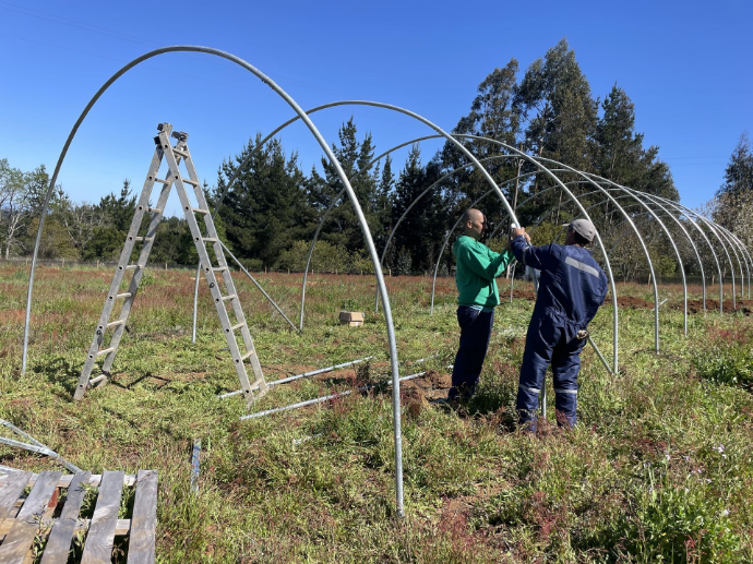 Equipo Sankalpa dedicado al diseño y fabricación de invernaderos agrícolas en Chile