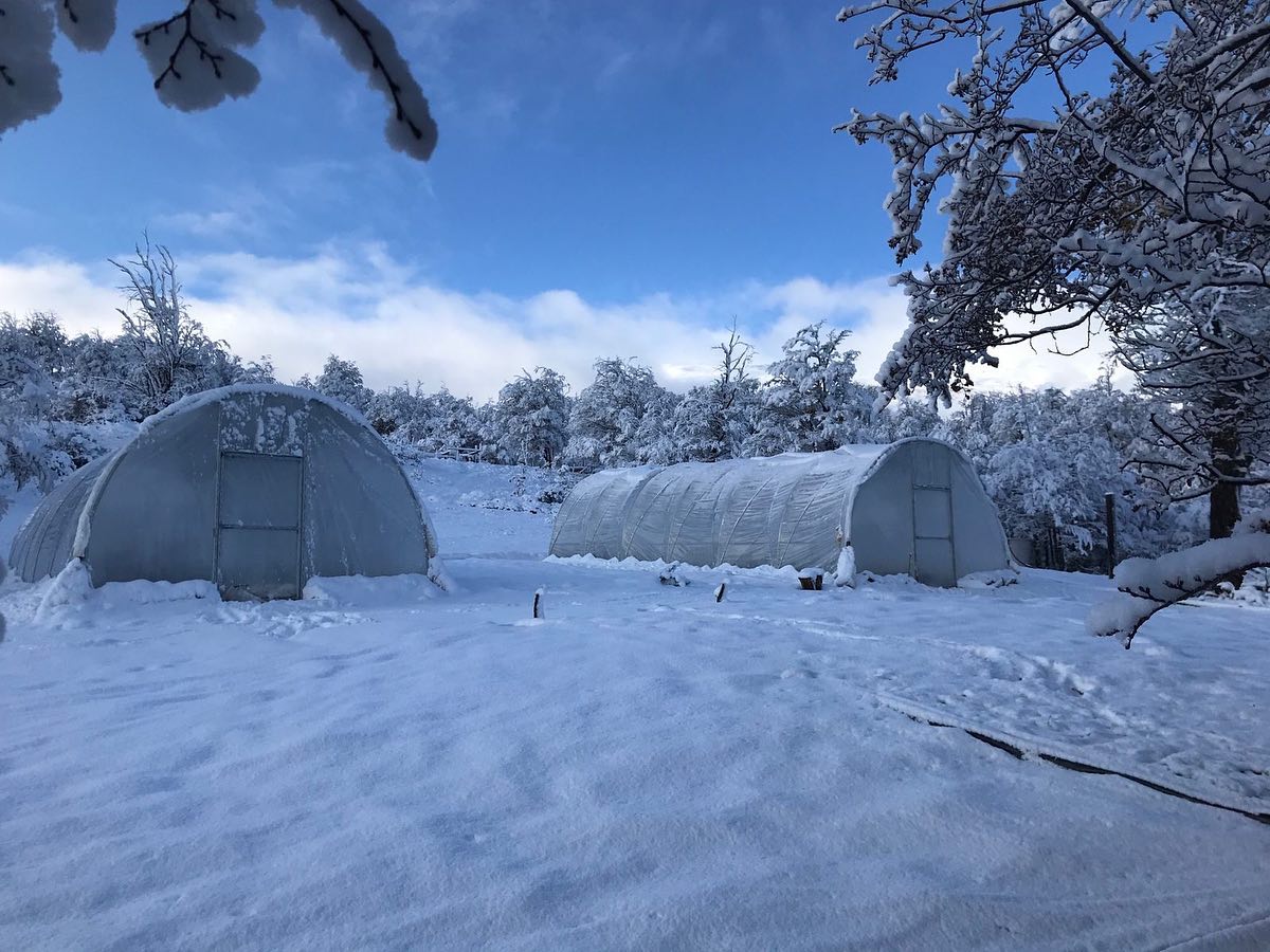 Invernaderos agrícolas Sankalpa instalados en zonas de clima extremo y nieve