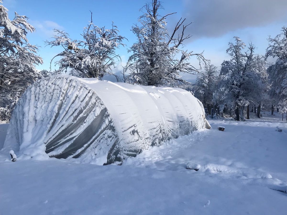 Cultivos protegidos dentro de un invernadero Sankalpa bajo condiciones de nieve
