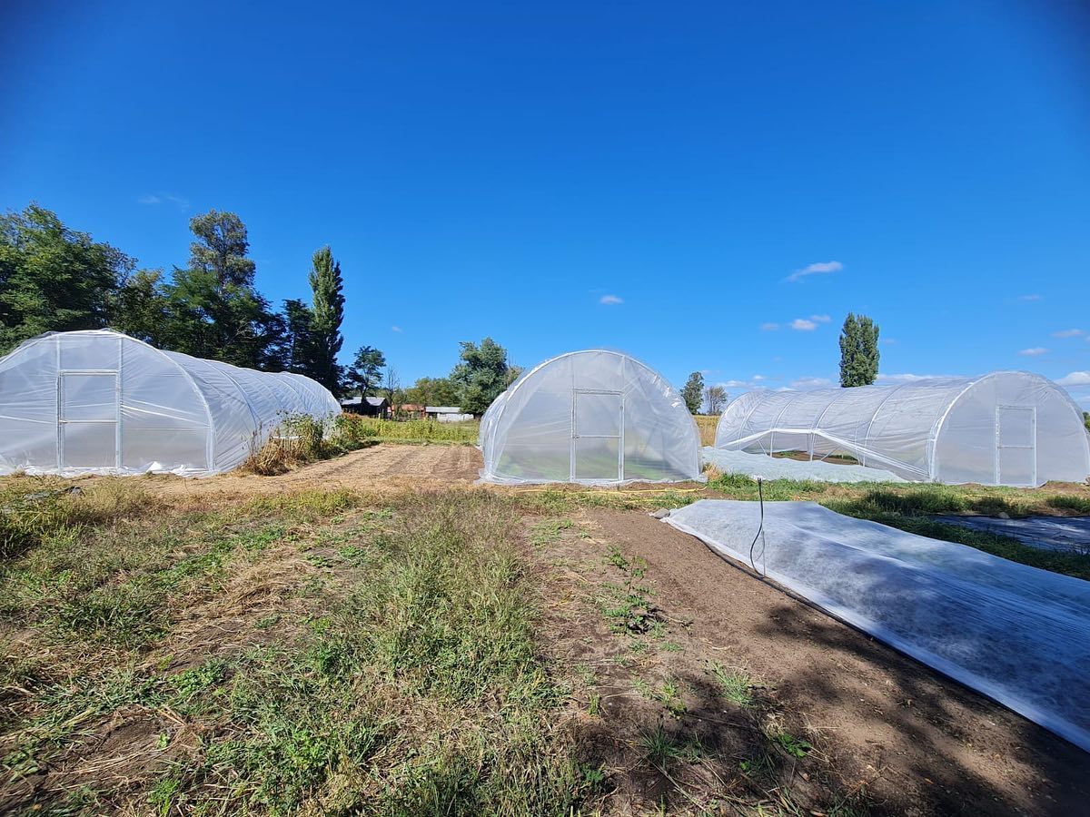 Estructura de invernadero agrícola Sankalpa de alta resistencia