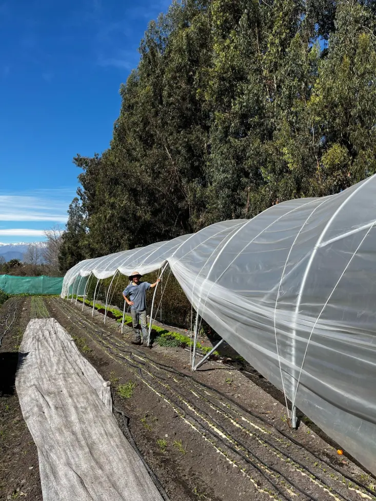 De Huerta a la Raíz cliente de Sankalpa Invernaderos
